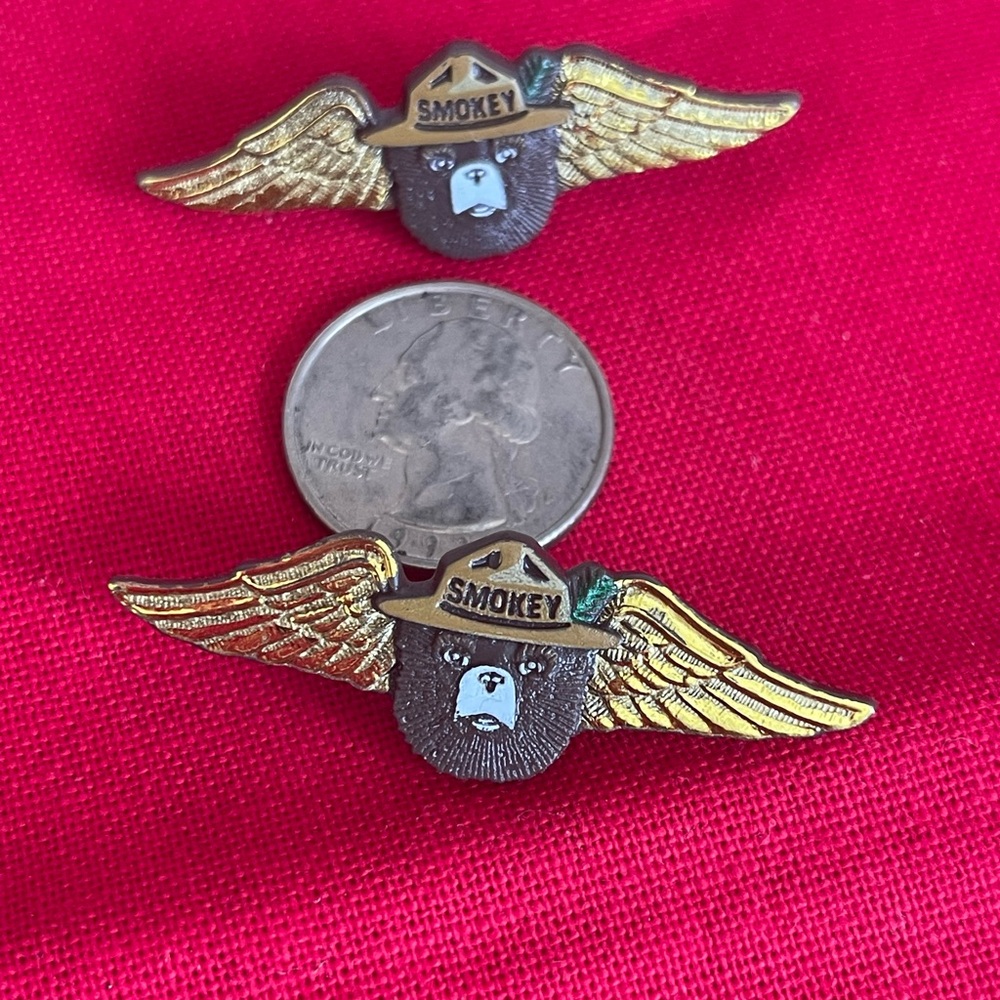 Smokey Bear Winged Pins - Picture 3 of 5